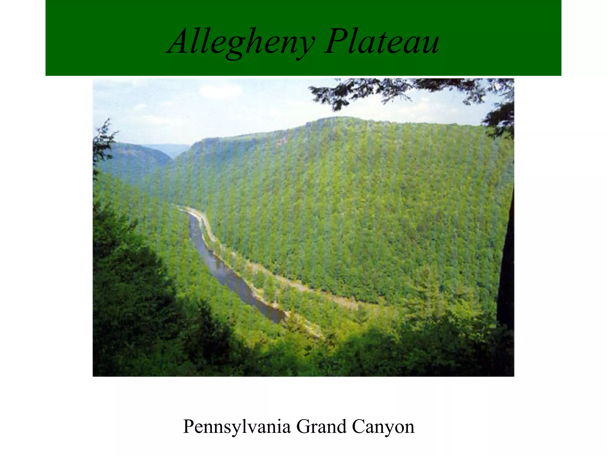 Allegheny Plateau Pennsylvania Grand Canyon 