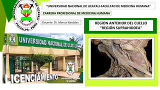 “UNIVERSIDAD NACIONAL DE UCAYALI-FACULTAD DE MEDICINA HUMANA"
REGION ANTERIOR DEL CUELLO
“REGIÓN SUPRAHIODEA"
CARRERA PROFESIONAL DE MEDICINA HUMANA
Docente: Dr. Marcos Bardales
 