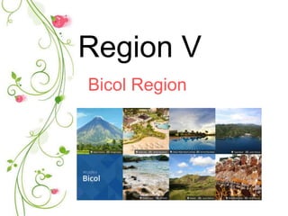 Region V
Bicol Region
 