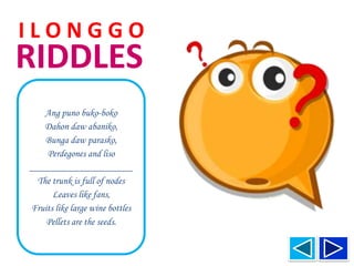 RIDDLES
I L O N G G O
Ang puno buko-boko
Dahon daw abaniko,
Bunga daw parasko,
Perdegones and liso
_____________________
The trunk is full of nodes
Leaves like fans,
Fruits like large wine bottles
Pellets are the seeds.
 
