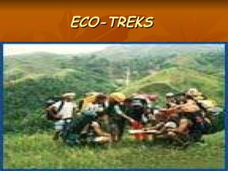 ECO-TREKS   <ul><li>Experience the thrill of venturing towards  natural heights  and behold the world of  green fields and...