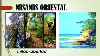 MISAMIS ORIENTAL




Initao-Libertad
 