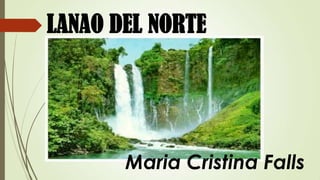 LANAO DEL NORTE




       Maria Cristina Falls
 