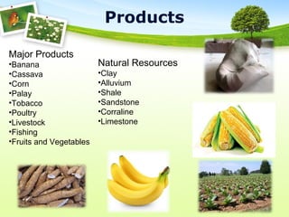 Products
Natural Resources
•Clay
•Alluvium
•Shale
•Sandstone
•Corraline
•Limestone
Major Products
•Banana
•Cassava
•Corn
•Palay
•Tobacco
•Poultry
•Livestock
•Fishing
•Fruits and Vegetables
 