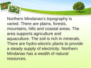 Northern Mindanao’s topography is
varied. There are plains, forests,
mountains, hills and coastal areas. The
area supports agriculture and
aquaculture. The soil is rich in minerals.
There are hydro-electric plants to provide
a steady supply of electricity. Northern
Mindanao has a wealth of natural
resources.
 