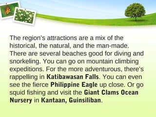 The region’s attractions are a mix of the
historical, the natural, and the man-made.
There are several beaches good for diving and
snorkeling. You can go on mountain climbing
expeditions. For the more adventurous, there’s
rappelling in Katibawasan Falls. You can even
see the fierce Philippine Eagle up close. Or go
squid fishing and visit the Giant Clams Ocean
Nursery in Kantaan, Guinsiliban.
 