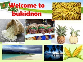 Welcome to
bukidnon
 