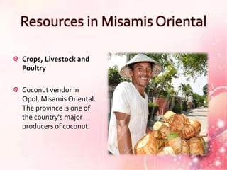 Resources in Misamis Oriental

Crops, Livestock and
Poultry

Coconut vendor in
Opol, Misamis Oriental.
The province is one of
the country's major
producers of coconut.
 