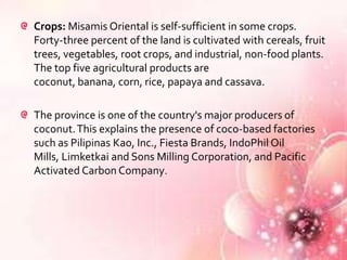 Crops: Misamis Oriental is self-sufficient in some crops.
Forty-three percent of the land is cultivated with cereals, fruit
trees, vegetables, root crops, and industrial, non-food plants.
The top five agricultural products are
coconut, banana, corn, rice, papaya and cassava.

The province is one of the country's major producers of
coconut. This explains the presence of coco-based factories
such as Pilipinas Kao, Inc., Fiesta Brands, IndoPhil Oil
Mills, Limketkai and Sons Milling Corporation, and Pacific
Activated Carbon Company.
 