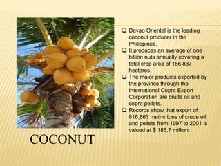  Davao Oriental is the leading 
coconut producer in the 
Philippines. 
 It produces an average of one 
billion nuts annually covering a 
total crop area of 156,837 
hectares. 
 The major products exported by 
the province through the 
International Copra Export 
Corporation are crude oil and 
copra pellets. 
 Records show that export of 
816,863 metric tons of crude oil 
and pellets from 1997 to 2001 is 
valued at $ 185.7 million. 
COCONUT 
 