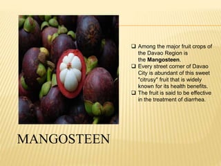 MANGOSTEEN 
 Among the major fruit crops of 
the Davao Region is 
the Mangosteen. 
 Every street corner of Davao 
City is abundant of this sweet 
"citrusy" fruit that is widely 
known for its health benefits. 
 The fruit is said to be effective 
in the treatment of diarrhea. 
 