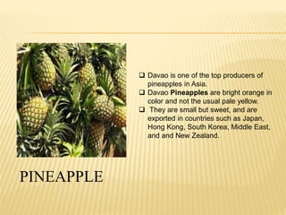  Davao is one of the top producers of 
pineapples in Asia. 
 Davao Pineapples are bright orange in 
color and not the usual pale yellow. 
 They are small but sweet, and are 
exported in countries such as Japan, 
Hong Kong, South Korea, Middle East, 
and and New Zealand. 
PINEAPPLE 
 