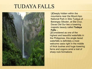 TUDAYA FALLS 
Deeply hidden within the 
mountains near the Mount Apo 
National Park in Sitio Tudaya of 
Barangay Sibulan, at Sta Cruz, 
Davao Del Sur lies a towering 
majestic beauty called Tudaya 
Falls -. 
Considered as one of the 
highest and beautiful waterfalls in 
the Philippines, this single tiered 
waterfalls is definitely a most 
welcome oasis right in the middle 
of thick bushes and huge towering 
ferns and cogons amid a trail of 
sharp rock formations 
 