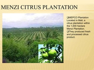 MENZI CITRUS PLANTATION 
MEPCO Plantation 
Located in Mati, a 
citrus plantation within 
the 1,000 hectare 
Menzi Plantation. 
They produced fresh 
and processed citrus 
product. 
 