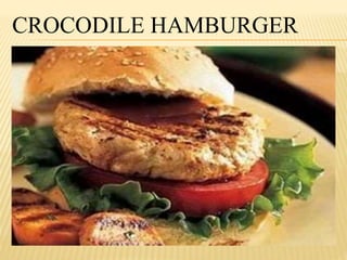 CROCODILE HAMBURGER 
 