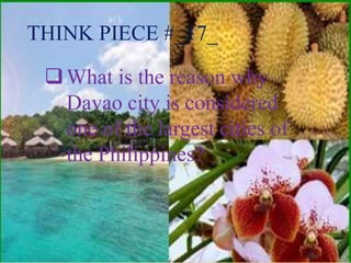 THINK PIECE #_17_ 
 What is the reason why 
Davao city is considered 
one of the largest cities of 
the Philippines? 
