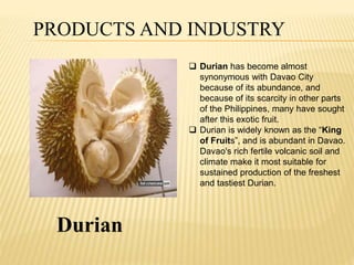 PRODUCTS AND INDUSTRY 
 Durian has become almost 
synonymous with Davao City 
because of its abundance, and 
because of its scarcity in other parts 
of the Philippines, many have sought 
after this exotic fruit. 
 Durian is widely known as the “King 
of Fruits”, and is abundant in Davao. 
Davao's rich fertile volcanic soil and 
climate make it most suitable for 
sustained production of the freshest 
and tastiest Durian. 
Durian 
 
