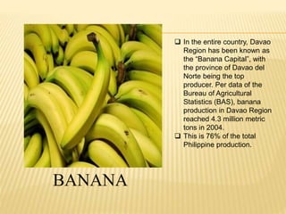  In the entire country, Davao 
Region has been known as 
the “Banana Capital”, with 
the province of Davao del 
Norte being the top 
producer. Per data of the 
Bureau of Agricultural 
Statistics (BAS), banana 
production in Davao Region 
reached 4.3 million metric 
tons in 2004. 
 This is 76% of the total 
Philippine production. 
BANANA 
 