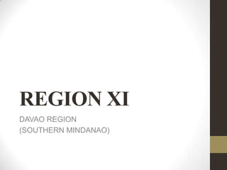 REGION XI
DAVAO REGION
(SOUTHERN MINDANAO)

 