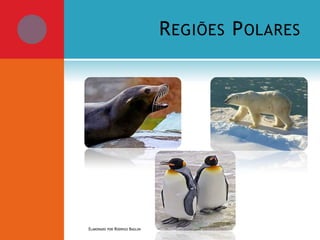 R EGIÕES P OLARES

ELABORADO POR RODRIGO BAGLINI

 