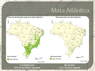 1,3 milhão km² 
15% do território nacional 
95 mil km² 
7,3% da área original 
 