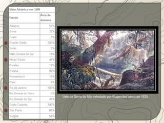 Vale da Serra do Mar retratado por Rugendas cerca de 1835 
 