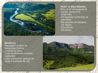Benefícios: 
Regulagem do fluxo de 
mananciais hídricos; 
Controle do clima; 
Fonte de alimentos e plantas 
medicinais; 
Lazer, ecoturismo, geração de 
renda e qualidade de vida. 
Vivem na Mata Atlântica: 
Mais de 20 mil espécies de 
plantas, sendo 8 mil 
endêmicas; 
270 espécies conhecidas de 
mamíferos; 
992 espécies de pássaros; 
197 répteis; 
372 anfíbios; 
350 peixes. 
 