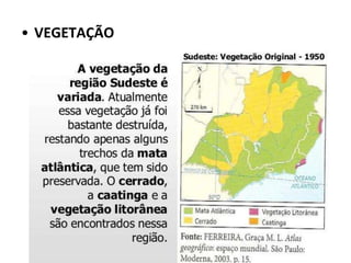 • VEGETAÇÃO
 