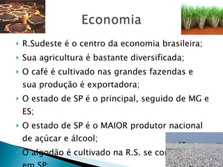 R.Sudeste é o centro da economia brasileira; Sua agricultura é bastante diversificada; O café é cultivado nas grandes fazendas e sua produção é exportadora;  O estado de SP é o principal, seguido de MG e ES; O estado de SP é o MAIOR produtor nacional de açúcar e álcool; O algodão é cultivado na R.S. se concentra em SP; 