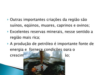 Outras importantes criações da região são suínos, eqüinos, muares, caprinos e ovinos; Excelentes reservas minerais, nesse sentido a região mais rica; A produção de petróleo é importante fonte de energia e  fornece condições para o crescimento industrial da região; 