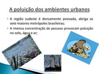 A região sudeste é densamente povoada, abriga as sete maiores metrópoles brasileiras; A imensa concentração de pessoas provocam poluição no solo, água e ar; 