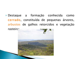 Destaque a formação conhecida como  cerrado , constituída de pequenas árvores,  arbustos  de galhos retorcidos e vegetação rasteira; 