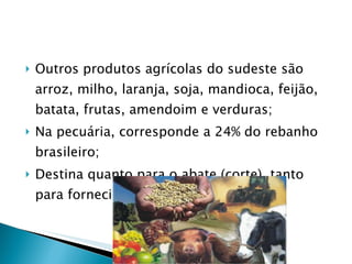 <ul><li>Outros produtos agrícolas do sudeste são arroz, milho, laranja, soja, mandioca, feijão, batata, frutas, amendoim e...