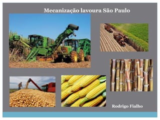 Rodrigo Fialho
Mecanização lavoura São Paulo
 