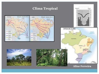 Aline Ferreira
Clima Tropical
 