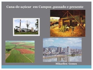 Mikaellen Gomes
Cana-de-açúcar em Campos ,passado e presente
 