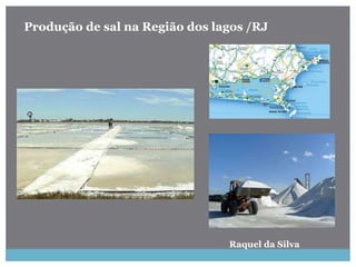 Raquel da Silva
Produção de sal na Região dos lagos /RJ
 