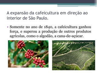 A expansão da cafeicultura em direção ao
interior de São Paulo.
• Somente no ano de 1840, a cafeicultura ganhou
força, e superou a produção de outros produtos
agrícolas, como o algodão, a cana-de-açúcar.
 