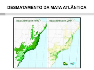 DESMATAMENTO DA MATA ATLÂNTICA 
