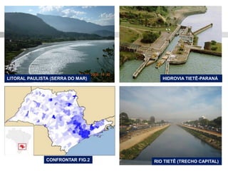 CONFRONTAR FIG.2 
RIO TIETÊ (TRECHO CAPITAL) 
HIDROVIA TIETÊ-PARANÁ 
LITORAL PAULISTA (SERRA DO MAR)  