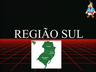 REGIÃO SUL 