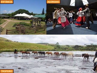 TROPEIRO
ESTÂNCIA AÇORIANO
 