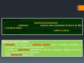 DESMATAMENTO
MATA ATLÂNTICA
• Intensamente desmatada pela marcha de povoamento;
• As áreas que sobraram ocupam os trechos mais ondulados da Serra do Mar
e da Serra Geral;
• Atuais causas do desmatamento estão ligadas ao cultivo o pínus (indústria de
papel e celulose).
MATA DE ARAUCÁRIAS
• Extração da madeira do pinheiro (pinho) para a indústria moveleira e
construção civil  Madeira Mole (flexível);
• A prática da agricultura intensificada pelo fluxo migratório também contribuiu
para o desmatamento da vegetação;
• Resta apenas 5% desta mata.
 