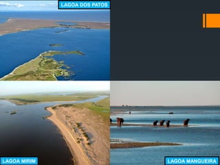 LAGOA MANGUEIRA
LAGOA DOS PATOS
LAGOA MIRIM
 
