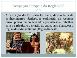 Ocupação europeia da Região Sul
 A ocupação do território foi lenta, devido falta de
conhecimentos técnicos, a exploração de recursos
durou pouco tempo, levando a população a trabalhar
com a agricultura e criação de gado, para abastecer a
região das Minas Gerais (Região Sudeste).
 