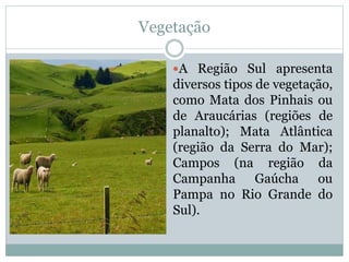 Vegetação
A Região Sul apresenta
diversos tipos de vegetação,
como Mata dos Pinhais ou
de Araucárias (regiões de
planalto); Mata Atlântica
(região da Serra do Mar);
Campos (na região da
Campanha Gaúcha ou
Pampa no Rio Grande do
Sul).
 