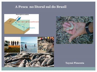 Tayná Pimenta
A Pesca no litoral sul do Brasil
 