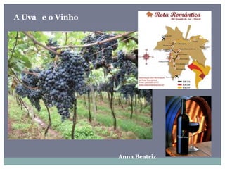 A Uva e o Vinho
Anna Beatriz
 