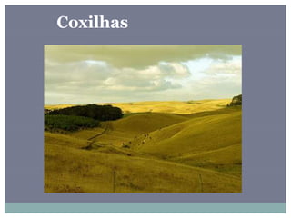 Coxilhas
 