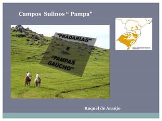 Campos Sulinos “ Pampa”
Raquel de Araújo
 